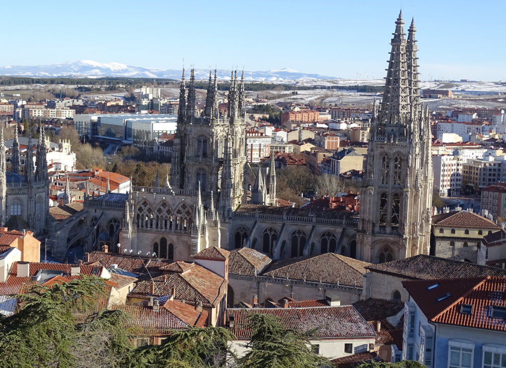 Ubicación de Txipirones